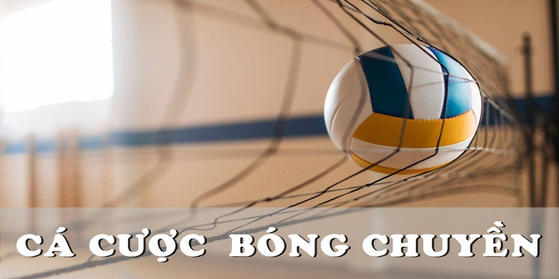 Giới thiệu về hình thức cá độ bóng chuyền được ưa chuộng